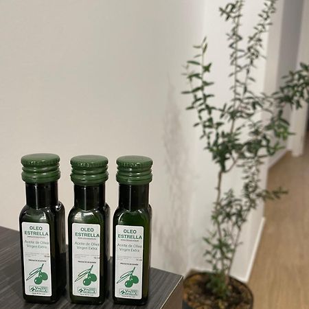 阿尔考德特El Olivo别墅 外观 照片