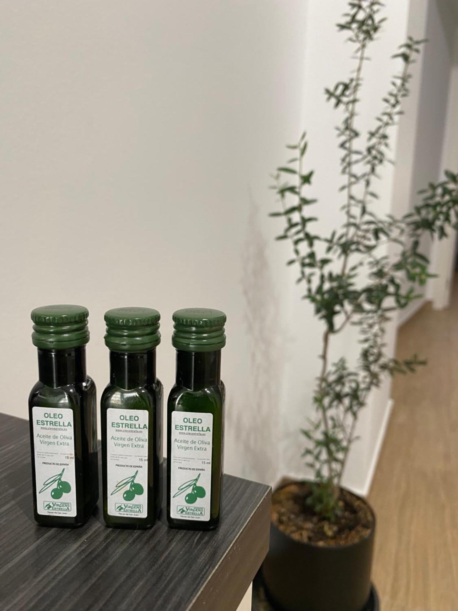 阿尔考德特El Olivo别墅 外观 照片